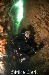 Diver In Coral Gully, St. Abbs, Scotland.
Nikon D70, 10.... by Mike Clark 